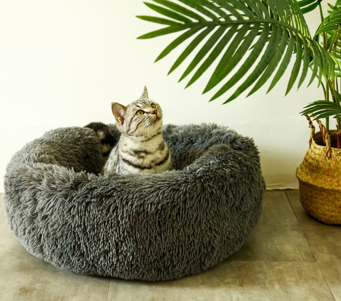 De Voordelen van een Orthopedisch Kattenbed: Comfort en Ondersteuning voor een Gelukkige Kat