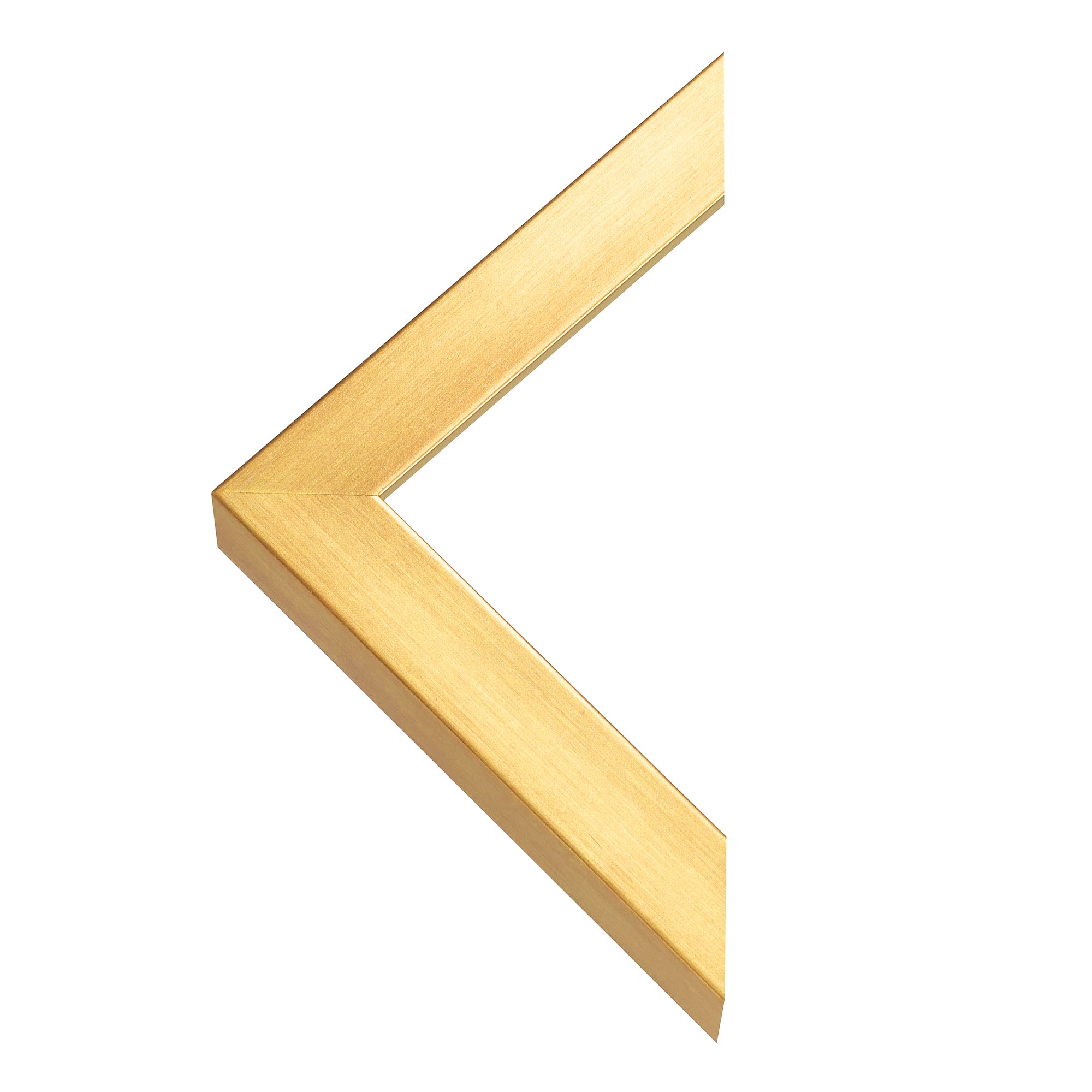 Individuelles Katzenportrait – Ihre Katze als zeitloses Kunstwerk