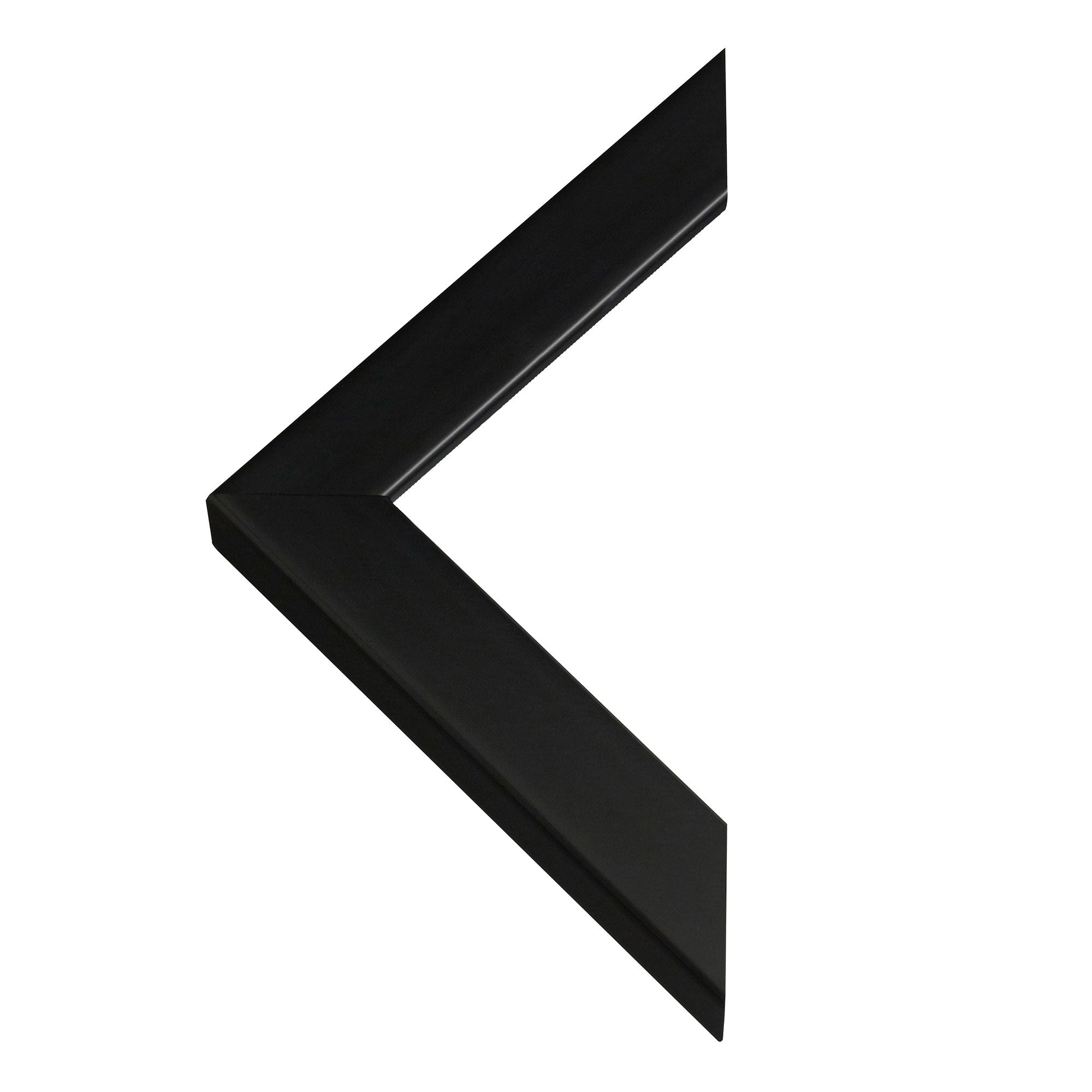 Individuelles Katzenportrait – Ihre Katze als zeitloses Kunstwerk