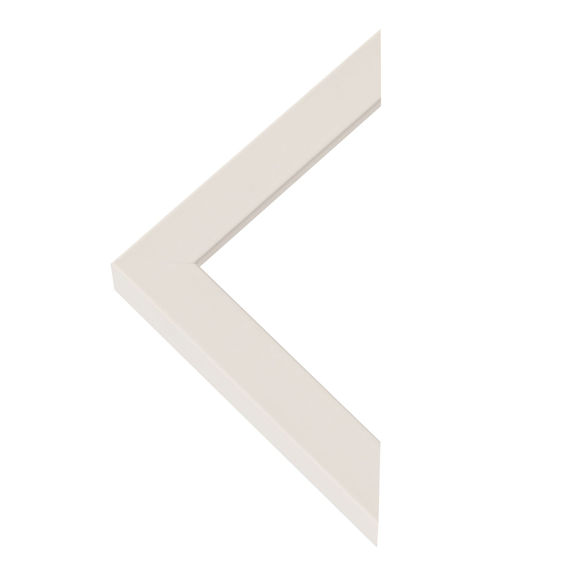 Individuelles Katzenportrait – Ihre Katze als zeitloses Kunstwerk