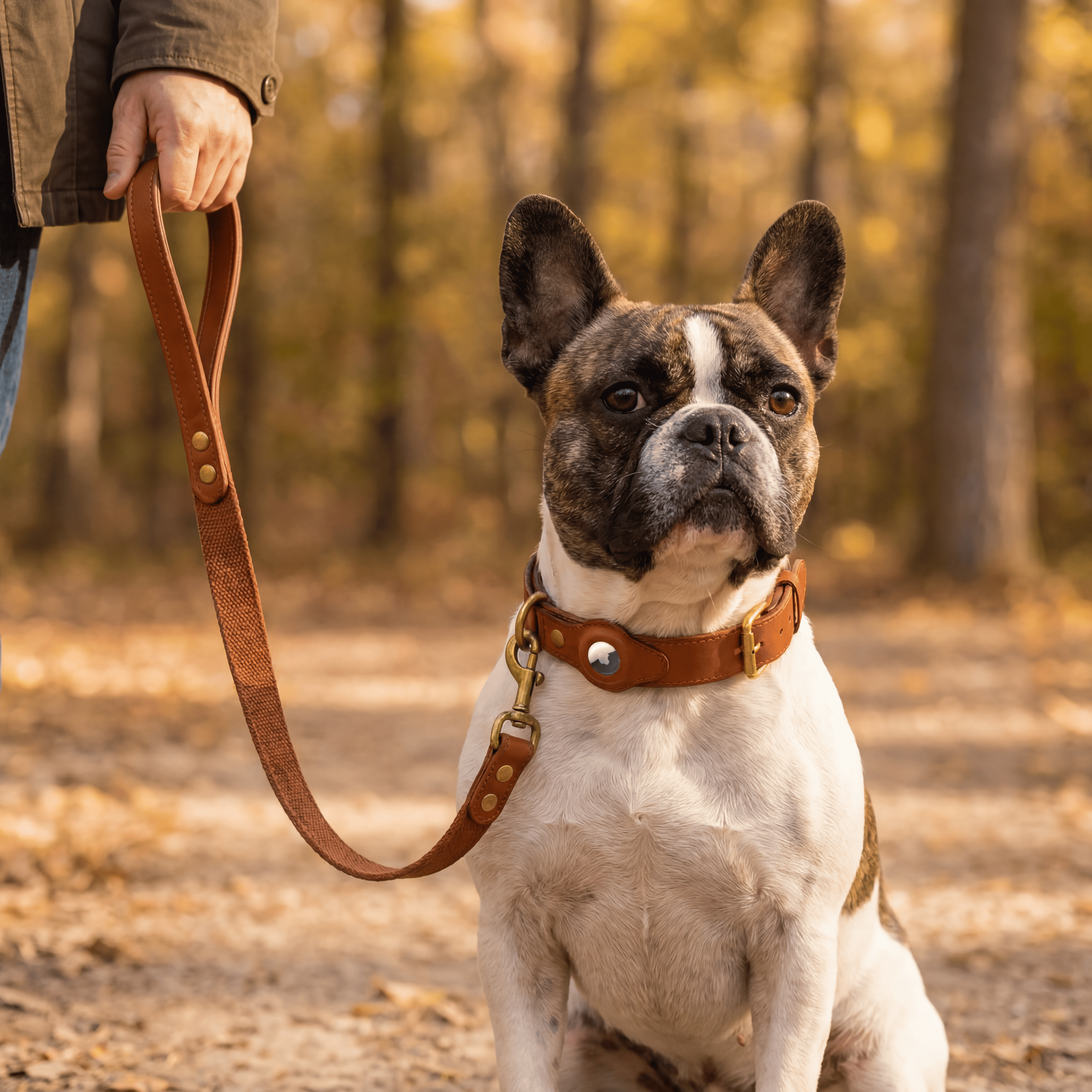 Luxury Leather Dog Collar and Leash with Airtag