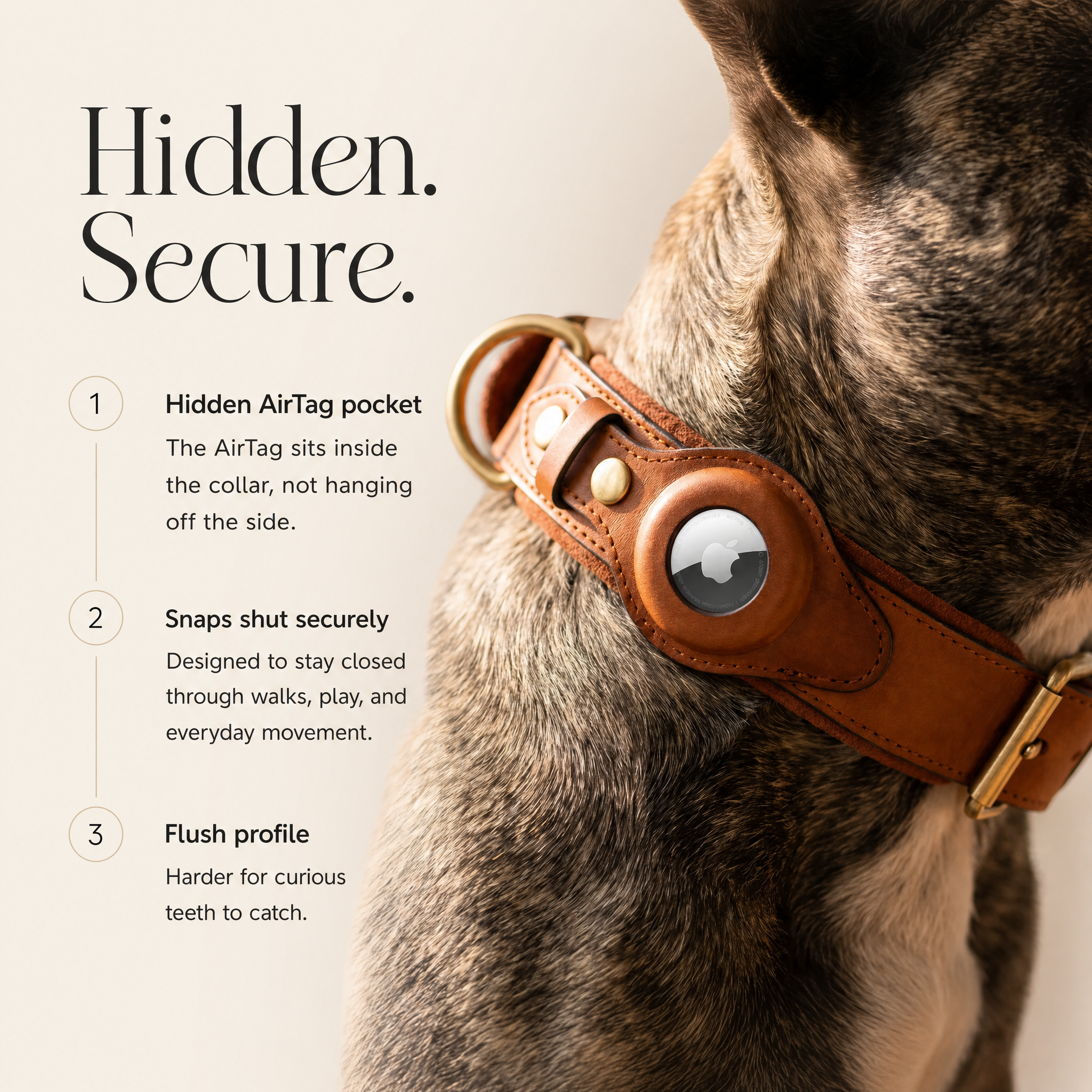 Luxury Leather Dog Collar with AirTag (GPS Tracker for Dogs)