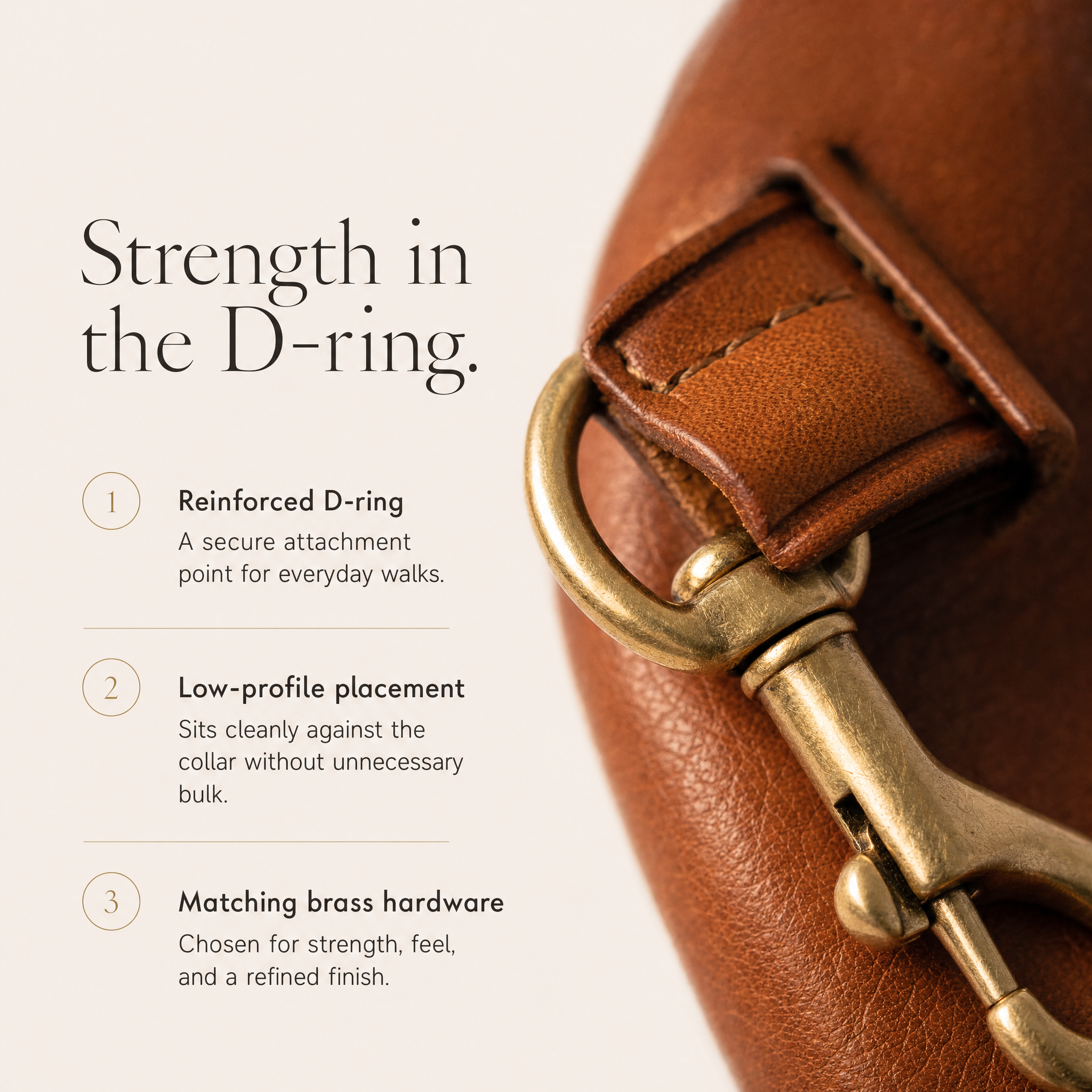 Luxury Leather Dog Collar with AirTag (GPS Tracker for Dogs)